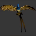 Vibrant Flying Bird With Blue Head Yellow Wings And Long Tail In Flight