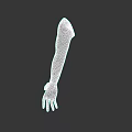 Detailed 3D Anatomical Arm Model With Realistic Skin Texture From Shoulder To Hand