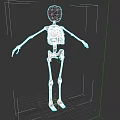White Human Skeleton Model Standing On Black Background 3D Render