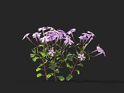 Blooming Purple Flowers With Green Leaves And Red Stems On Black Background 3d model