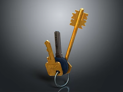 Everyday Use Keychain With Golden Silver Keys And Black Holder For Daily Essentials 3d model