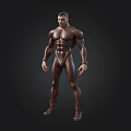 Detailed Muscular Male 3D Model in Brown Tight Suit Against Black Background