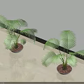 Bonsai Potted Plants With Lush Green Tropical Leaves On Indoor Tile Floor Against White Wall