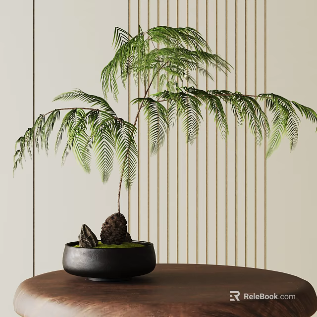 Bonsai Tree With Graceful Green Leaves In Black Pot On Wooden Table With Striped Wall 3d model 