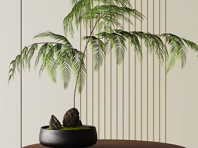 Bonsai Tree With Graceful Green Leaves In Black Pot On Wooden Table With Striped Wall 3d model