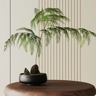 Bonsai Tree With Graceful Green Leaves In Black Pot On Wooden Table With Striped Wall 3d model