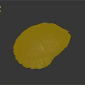 Turtle shell Han turtle shell turtle cartoon turtle snapping turtle hawksbill reptile cold-blooded animal 3d model