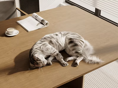 Curled Up Sleeping Cat on Wooden Table with Open Magazine and Coffee Cup 3d model