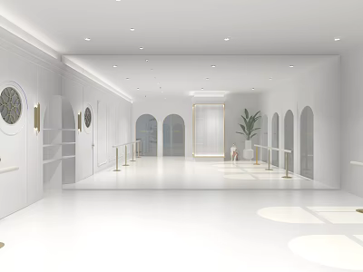 White Fitness Studio With Mirrors Barres Arched Doors And Indoor Plants 3d model