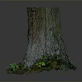 Lush Green Plants Growing Around Tree Stump Base With Natural Bark Texture