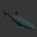 Game and Movie Character Shark 3D Model with Gray Blue Body Open Mouth and Fins