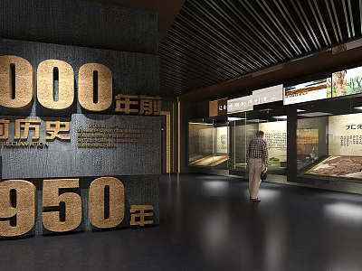 Historical Museum Exhibition Hall With 950 Year Old Artifacts And Display Cases 3d model
