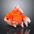 Eye Catching Orange And White Goldfish With Rounded Body And Unique Fins