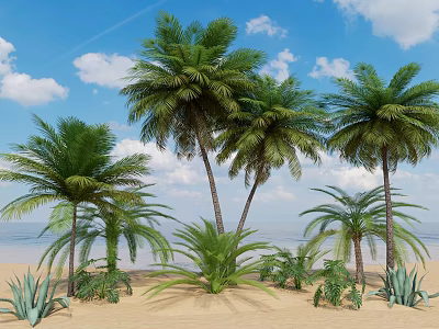 Lush Tropical Palm Trees on Sandy Beach with Blue Sky White Clouds and Small Plants 3d model