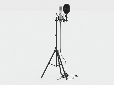 Modern Microphone Mike model