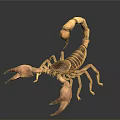 Detailed 3D Rendered Scorpion Model With Brown Exoskeleton And Dark Background Reflection