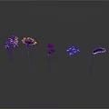 Colorful Flowers and Green Plants in Different Colors Arranged on White Background with Reflection