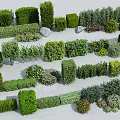 Diverse Green Bushes in Various Shapes for Garden Landscaping and Outdoor Decoration