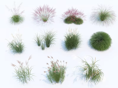 Diverse Ornamental Garden Shrubs with Green Pink Foliage and Various Growth Habits 3d model
