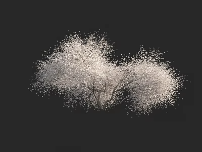 Graceful Tree Adorned With White Blossoms And Lush Flowers Against Black Background 3d model