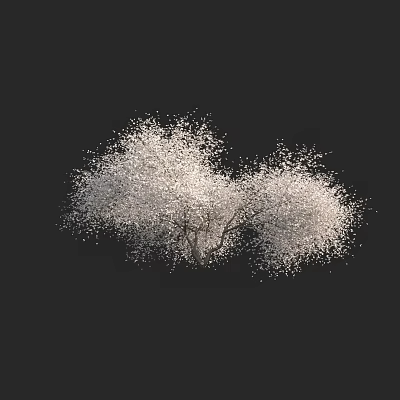 Graceful Tree Adorned With White Blossoms And Lush Flowers Against Black Background 3d model