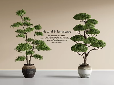 Bonsai Potted Plants In Natural Landscape Style With Elegant Branch And Leaf Design 3d model