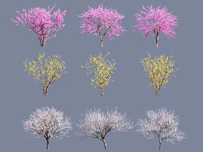 Collection Of Various Trees Featuring Pink Flowers Yellow Blossoms And Leafless Branches 3d model