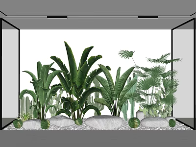 Indoor Shrub Arrangement With Diverse Green Plants And White Stones 3d model
