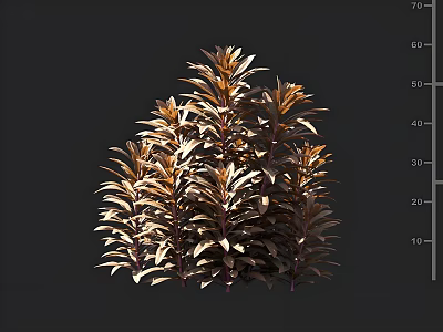 Golden Brown Leaf Shrub With Lush Dense Foliage And Bushy Growth Habit 3d model