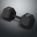 Solid Black 40 Pound Hex Dumbbell Fitness Equipment for Home Gym Strength Training