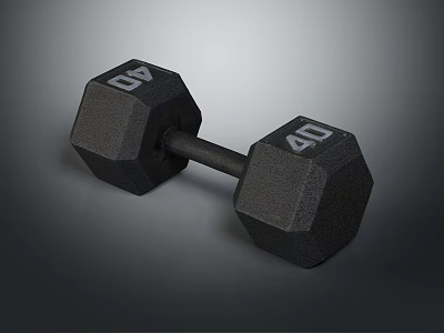 Solid Black 40 Pound Hex Dumbbell Fitness Equipment for Home Gym Strength Training 3d model