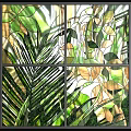 Stained Glass Partition Featuring Palm Leaves And Green Plant Patterns With Natural Light