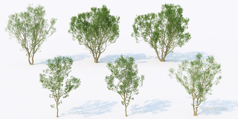 Multiple Arbor Trees With Green Foliage Various Shapes And Natural Shadows 3d model