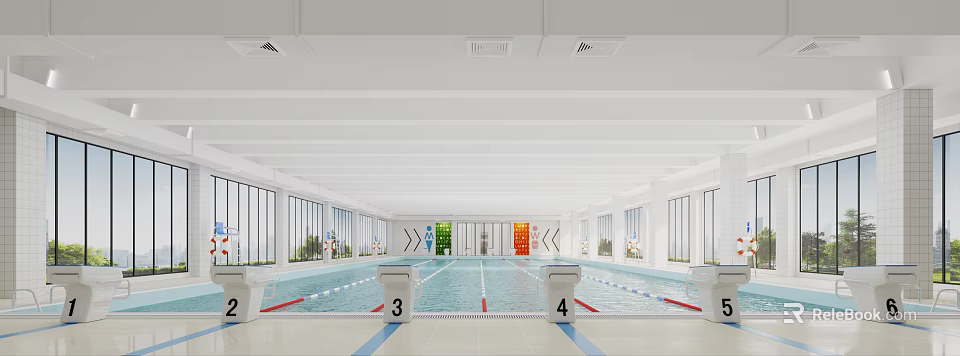 Indoor Swimming Pool With Marked Lanes Starting Blocks And Natural Light 3d model 