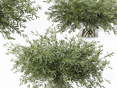 Natural Olive Branch Green Foliage Decorative Ornament Set With Glass Vase For Home Decor 3d model