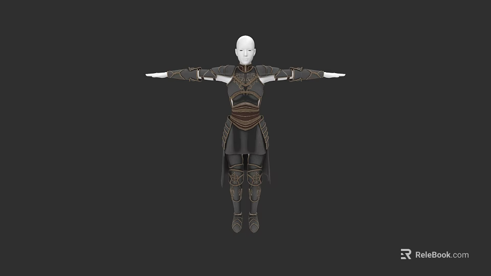Dark Colored Role Play Costume With Intricate Details Waist Sash Sleeve Stripes And Long Hem 3d model 