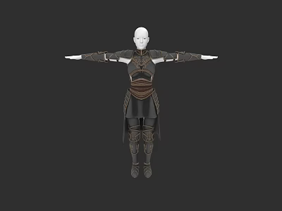 Dark Colored Role Play Costume With Intricate Details Waist Sash Sleeve Stripes And Long Hem 3d model