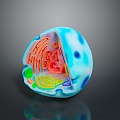 Cell Human Cell Cell Structure Cell Tissue Anatomical Organ Human Organ Human Organ 3d model