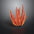 Tropical Fish Swimming Around Red And Yellow Coral Structure On Dark Background With Reflection
