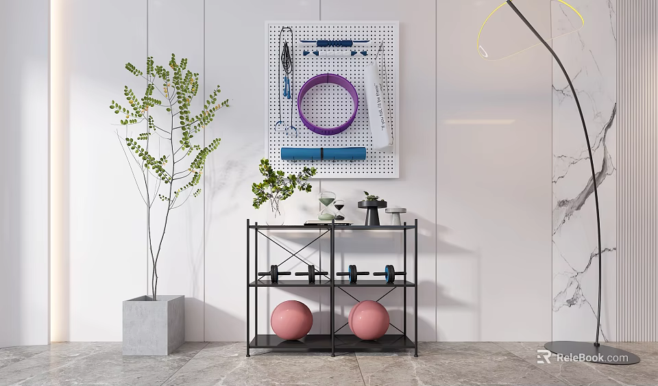 Organized Sports Equipment Setup With Pegboard Metal Shelf Dumbbells Exercise Balls And Hula Hoop 3d model 