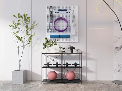 Organized Sports Equipment Setup With Pegboard Metal Shelf Dumbbells Exercise Balls And Hula Hoop 3d model