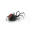 Black Reptile With Red Markings On Body And Long Legs In White Background