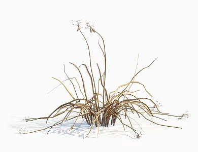 modern grass withered grass 3d model
