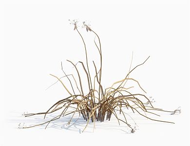 modern grass withered grass 3d model