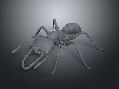 Detailed 3D Ant Model Render With Realistic Body Structure Long Legs And Prominent Mandibles 3d model