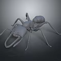 Detailed 3D Ant Model Render With Realistic Body Structure Long Legs And Prominent Mandibles