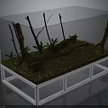 Indoor Green Plants In Transparent Glass Terrarium With Moss Branches And Wooden Log
