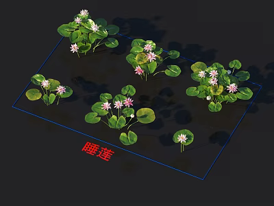Beautiful Water Lily Plants Growing On Water Surface With Green Pads And Pink Flowers 3d model