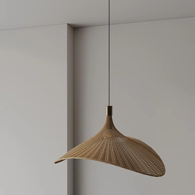 Modern Woven Fan Shaped Pendant Light In Golden Brown For Indoor Corner 3d model