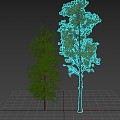 Modern Tree Landscape Tree 3d model